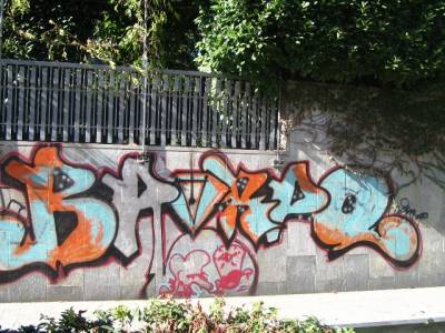 ODORE DI BRODO